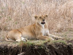 Western_Corridor2009-111